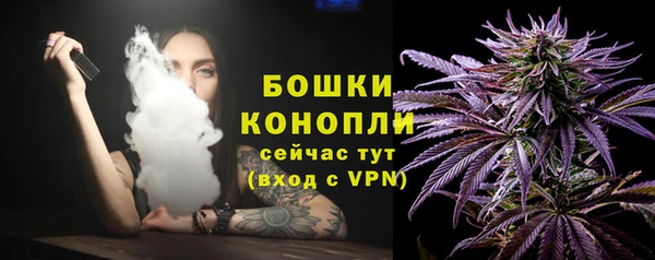 альфа пвп Горнозаводск
